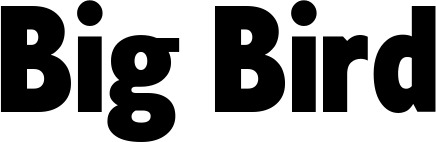 Vorschau des Bootsnamens "Big Bird" als Schriftzug für "Bootsbeschriftung Fett 24"