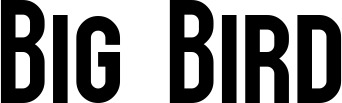 Vorschau des Bootsnamens "Big Bird" als Schriftzug für "Bootsbeschriftung Neu 43"