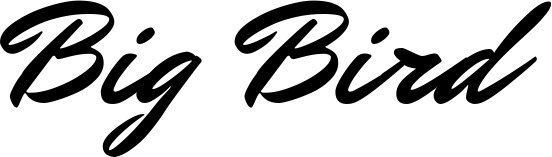 Vorschau des Bootsnamens "Big Bird" als Schriftzug für "Bootsbeschriftung Klassisch 82"