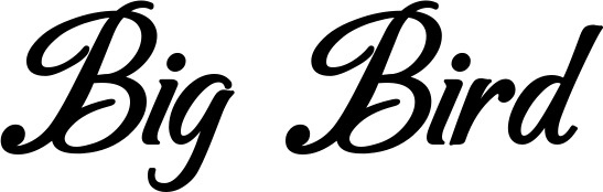 Vorschau des Bootsnamens "Big Bird" als Schriftzug für "Bootsbeschriftung Klassisch 50"