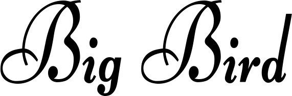 Vorschau des Bootsnamens "Big Bird" als Schriftzug für "Bootsbeschriftung Klassisch 76"