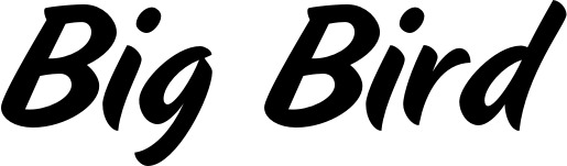 Vorschau des Bootsnamens "Big Bird" als Schriftzug für "Bootsbeschriftung Klassisch 19"