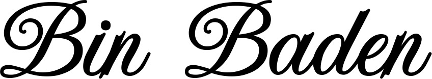 Vorschau des Bootsnamens "Bin Baden" als Schriftzug für "Bootsbeschriftung Klassisch 70"