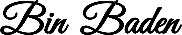 Vorschau des Bootsnamens "Bin Baden" als Schriftzug für "Bootsbeschriftung Klassisch 68"