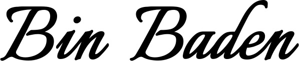 Vorschau des Bootsnamens "Bin Baden" als Schriftzug für "Bootsbeschriftung Klassisch 58"