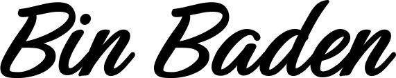 Vorschau des Bootsnamens "Bin Baden" als Schriftzug für "Bootsbeschriftung Klassisch 48"