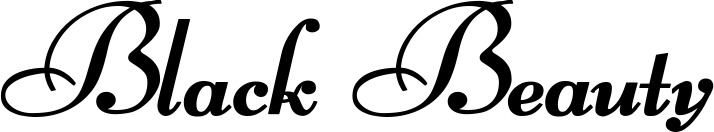 Vorschau des Bootsnamens "Black Beauty" als Schriftzug für "Bootsbeschriftung Klassisch 76-A"