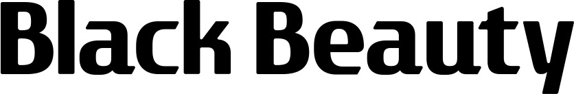 Vorschau des Bootsnamens "Black Beauty" als Schriftzug für "Bootsbeschriftung Fett 22"