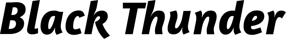 Vorschau des Bootsnamens "Black Thunder" als Schriftzug für "Bootsbeschriftung Kursiv 01"