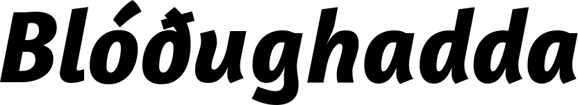 Vorschau des Bootsnamens "Blóðughadda" als Schriftzug für "Bootsbeschriftung Kursiv 01"