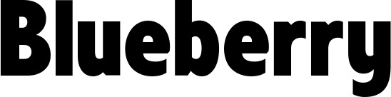 Vorschau des Bootsnamens "Blueberry" als Schriftzug für "Bootsbeschriftung Fett 24"