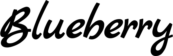 Vorschau des Bootsnamens "Blueberry" als Schriftzug für "Bootsbeschriftung Klassisch 45"
