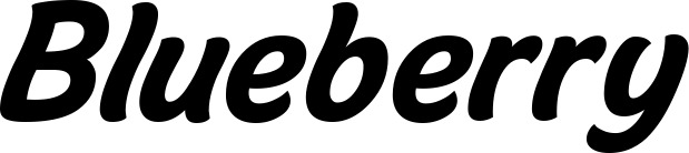Vorschau des Bootsnamens "Blueberry" als Schriftzug für "Bootsbeschriftung Klassisch 14"