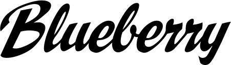 Vorschau des Bootsnamens "Blueberry" als Schriftzug für "Bootsbeschriftung Klassisch 29"