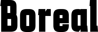 Vorschau des Bootsnamens "Boreal" als Schriftzug für "Bootsbeschriftung Fett 41"