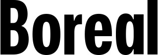 Vorschau des Bootsnamens "Boreal" als Schriftzug für "Bootsbeschriftung Fett 25"