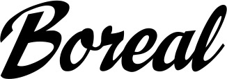 Vorschau des Bootsnamens "Boreal" als Schriftzug für "Bootsbeschriftung Klassisch 29"