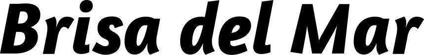 Vorschau des Bootsnamens "Brisa del Mar" als Schriftzug für "Bootsbeschriftung Kursiv 01"