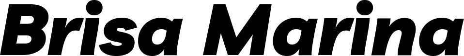 Vorschau des Bootsnamens "Brisa Marina" als Schriftzug für "Bootsbeschriftung Kursiv 06"