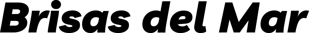 Vorschau des Bootsnamens "Brisas del Mar" als Schriftzug für "Bootsbeschriftung Kursiv 06"