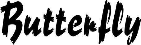 Vorschau des Bootsnamens "Butterfly" als Schriftzug für "Bootsbeschriftung Neu 10"