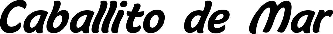 Vorschau des Bootsnamens "Caballito de Mar" als Schriftzug für "Bootsbeschriftung Klassisch 14"