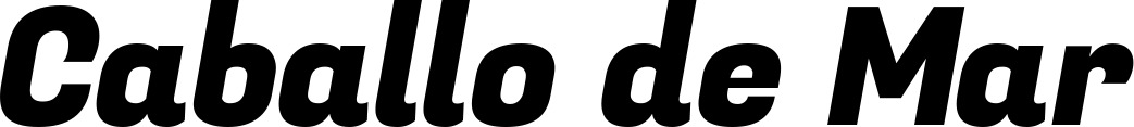 Vorschau des Bootsnamens "Caballo de Mar" als Schriftzug für "Bootsbeschriftung Kursiv 04"