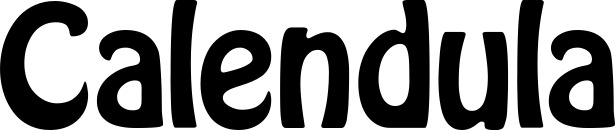 Vorschau des Bootsnamens "Calendula" als Schriftzug für "Bootsbeschriftung Fett 01"