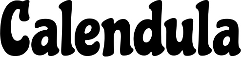 Bootsname 'Calendula' angezeigt als 'Bootsbeschriftung Klassisch 53'