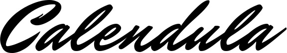 Bootsname 'Calendula' angezeigt als 'Bootsbeschriftung Klassisch 82'