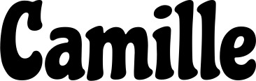 Bootsname 'Camille' angezeigt als 'Bootsbeschriftung Klassisch 53'