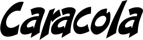 Vorschau des Bootsnamens "Caracola" als Schriftzug für "Bootsbeschriftung Klassisch 31"