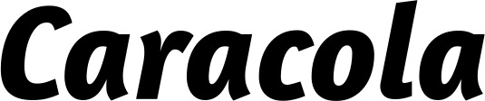 Vorschau des Bootsnamens "Caracola" als Schriftzug für "Bootsbeschriftung Kursiv 01"