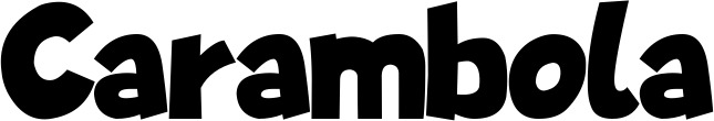 Vorschau des Bootsnamens "Carambola" als Schriftzug für "Bootsbeschriftung Neu 48"