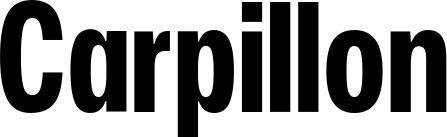 Vorschau des Bootsnamens "Carpillon" als Schriftzug für "Bootsbeschriftung Fett 25"