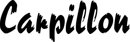 Vorschau des Bootsnamens "Carpillon" als Schriftzug für "Bootsbeschriftung Neu 10"