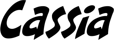 Vorschau des Bootsnamens "Cassia" als Schriftzug für "Bootsbeschriftung Klassisch 31"
