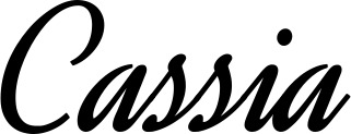 Vorschau des Bootsnamens "Cassia" als Schriftzug für "Bootsbeschriftung Klassisch 44"