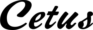 Vorschau des Bootsnamens "Cetus" als Schriftzug für "Bootsbeschriftung Klassisch 12"