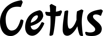 Vorschau des Bootsnamens "Cetus" als Schriftzug für "Bootsbeschriftung Klassisch 72"