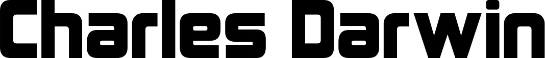 Vorschau des Bootsnamens "Charles Darwin" als Schriftzug für "Bootsbeschriftung Neu 25"
