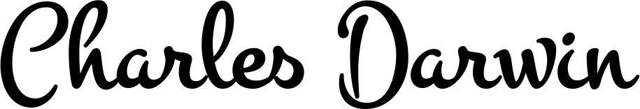 Vorschau des Bootsnamens "Charles Darwin" als Schriftzug für "Bootsbeschriftung Klassisch 81"