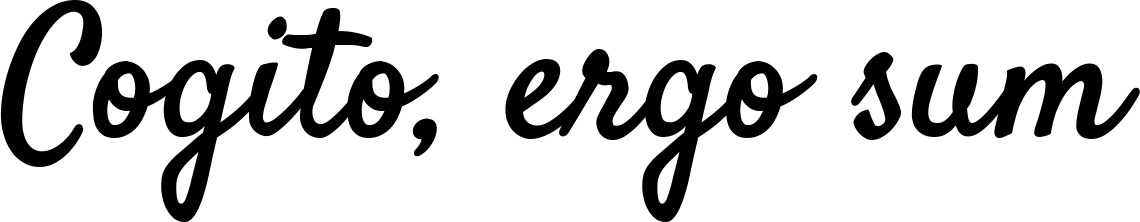 Vorschau des Bootsnamens "Cogito, ergo sum" als Schriftzug für "Bootsbeschriftung Klassisch 96"