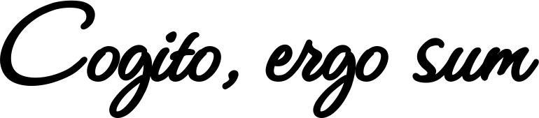 Vorschau des Bootsnamens "Cogito, ergo sum" als Schriftzug für "Bootsbeschriftung Klassisch 111"