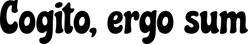 Vorschau des Bootsnamens "Cogito, ergo sum" als Schriftzug für "Bootsbeschriftung Neu 41"