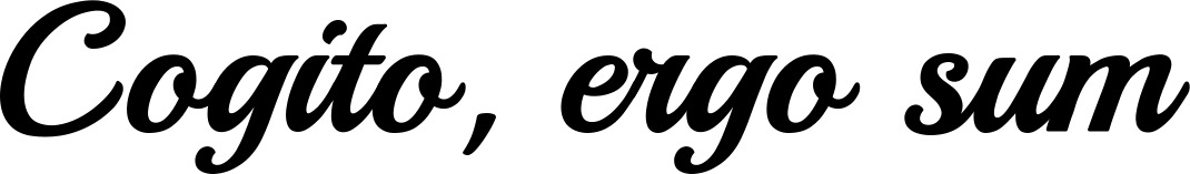 Vorschau des Bootsnamens "Cogito, ergo sum" als Schriftzug für "Bootsbeschriftung Klassisch 86"