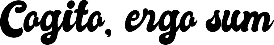 Vorschau des Bootsnamens "Cogito, ergo sum" als Schriftzug für "Bootsbeschriftung Klassisch 41"