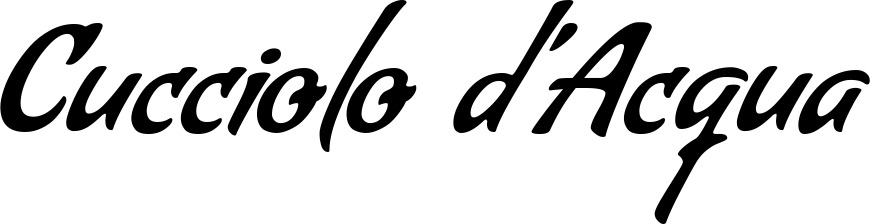 Vorschau des Bootsnamens "Cucciolo d’Acqua" als Schriftzug für "Bootsbeschriftung Klassisch 57"