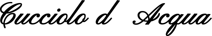Vorschau des Bootsnamens "Cucciolo d’Acqua" als Schriftzug für "Bootsbeschriftung Klassisch 107"