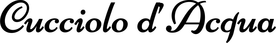 Vorschau des Bootsnamens "Cucciolo d’Acqua" als Schriftzug für "Bootsbeschriftung Klassisch 84"